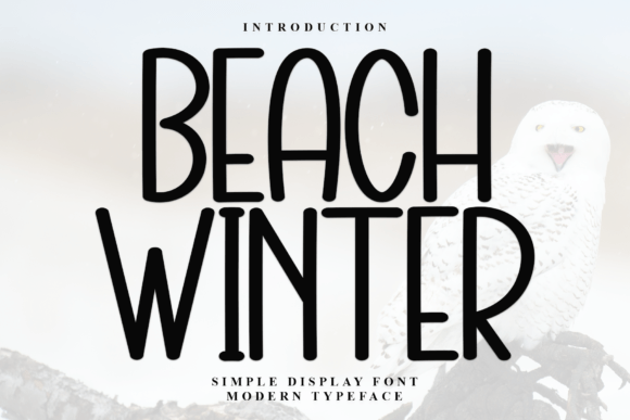 Beach Winter: A Softly Elegant Display Font for Editorial Design