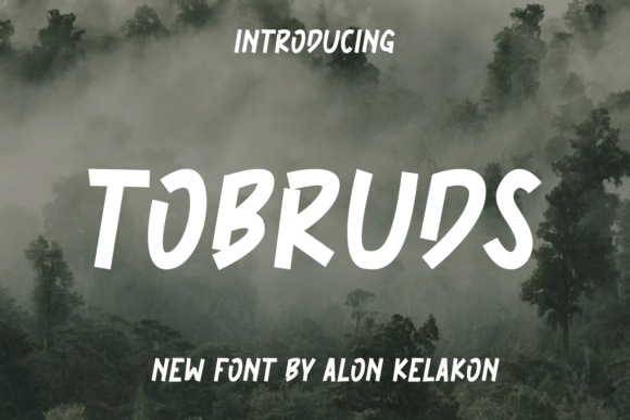How a Display Font Like Tobruds Transformed My Small Business Branding
